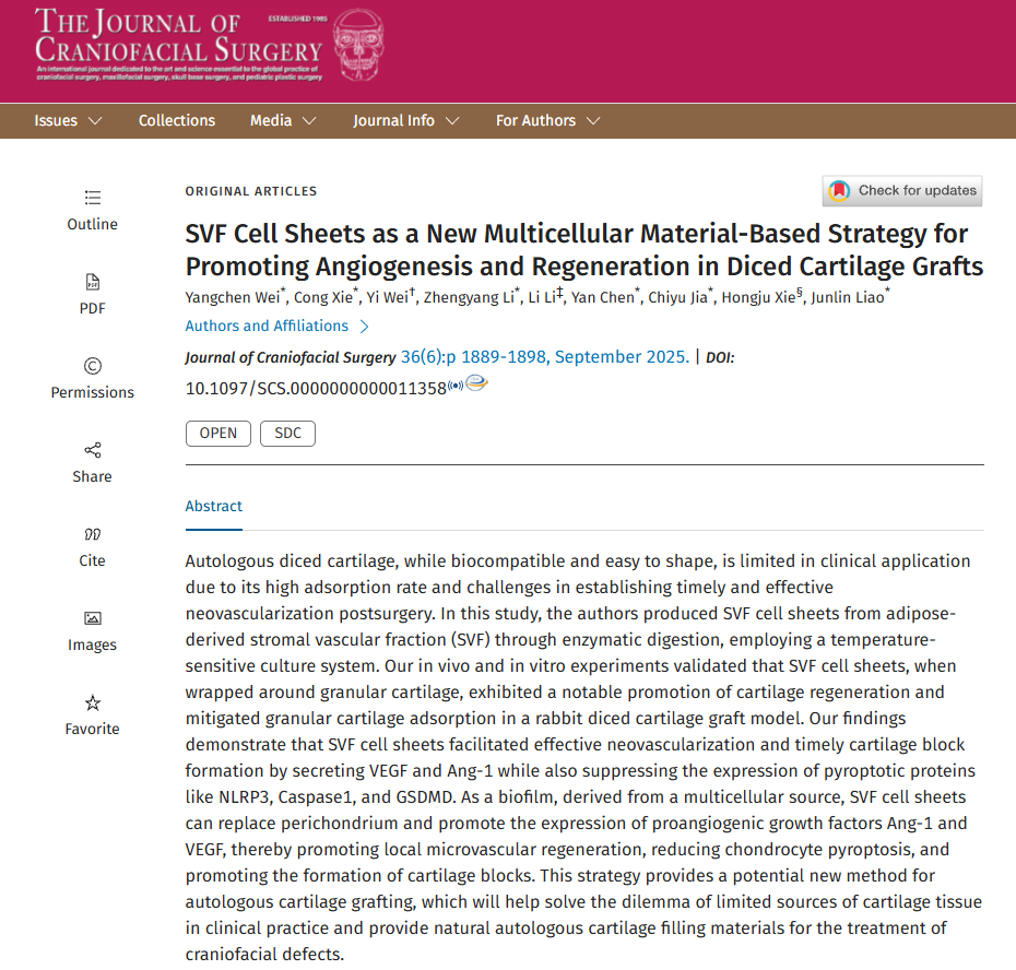 SVF Cell Sheets as a New Multicellular Material-Based Strategy for Promoting Angiogenesis and Regeneration in Diced Cartilage Grafts